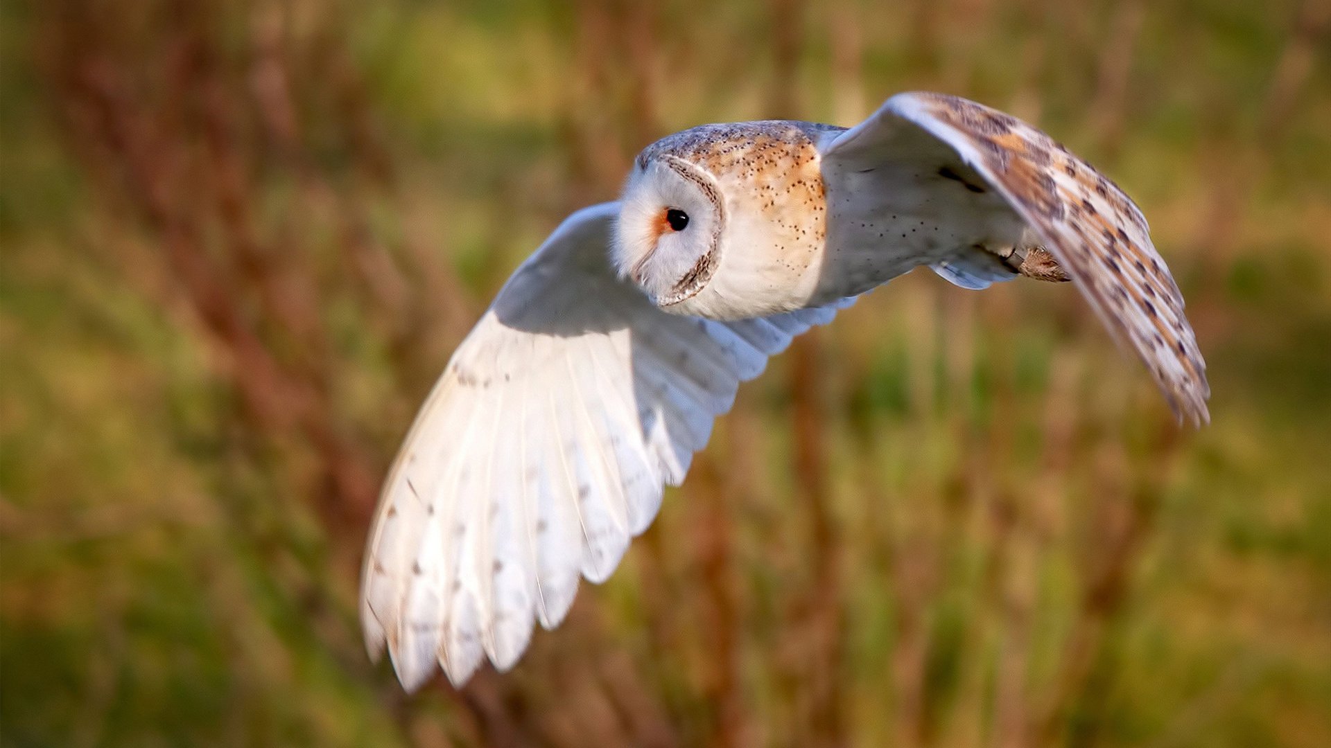 【“秒投”战术的崛起】投手如何利用时间限制达成精准投球?