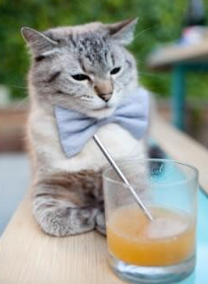 【“秒投”战术的崛起】投手如何利用时间限制达成精准投球?